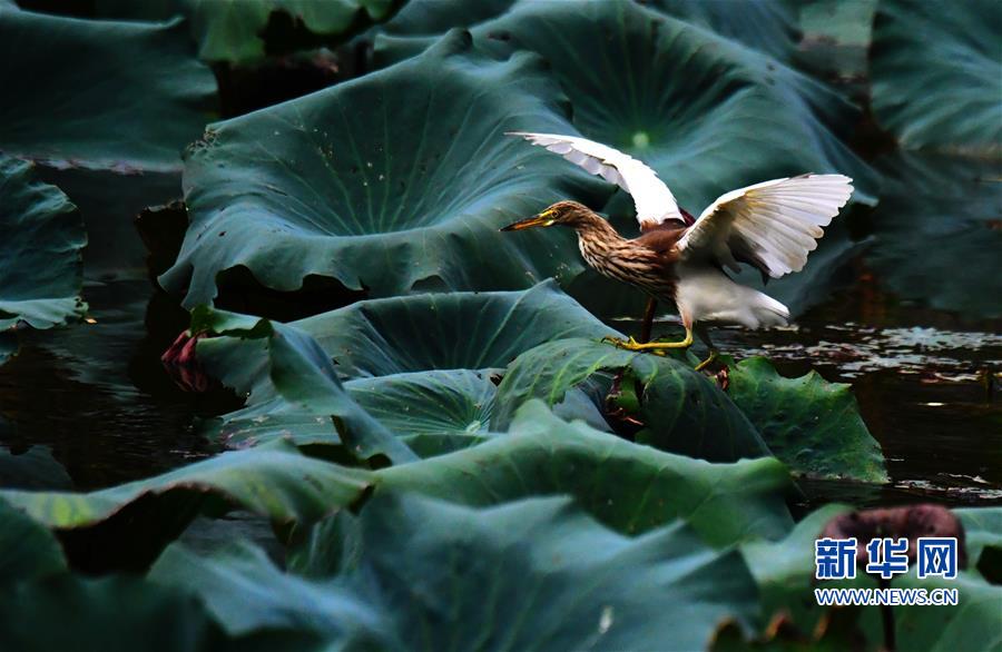 �������Ї�����1�����ݣ�����r��(ji��) �L(f��ng)���箋