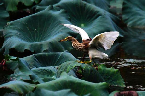 �������Ї�(gu��)����1�����ݣ�����r(sh��)��(ji��) �L(f��ng)���箋