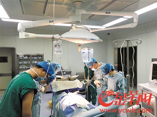 16歲少女因病過世 捐獻器官幫助5人