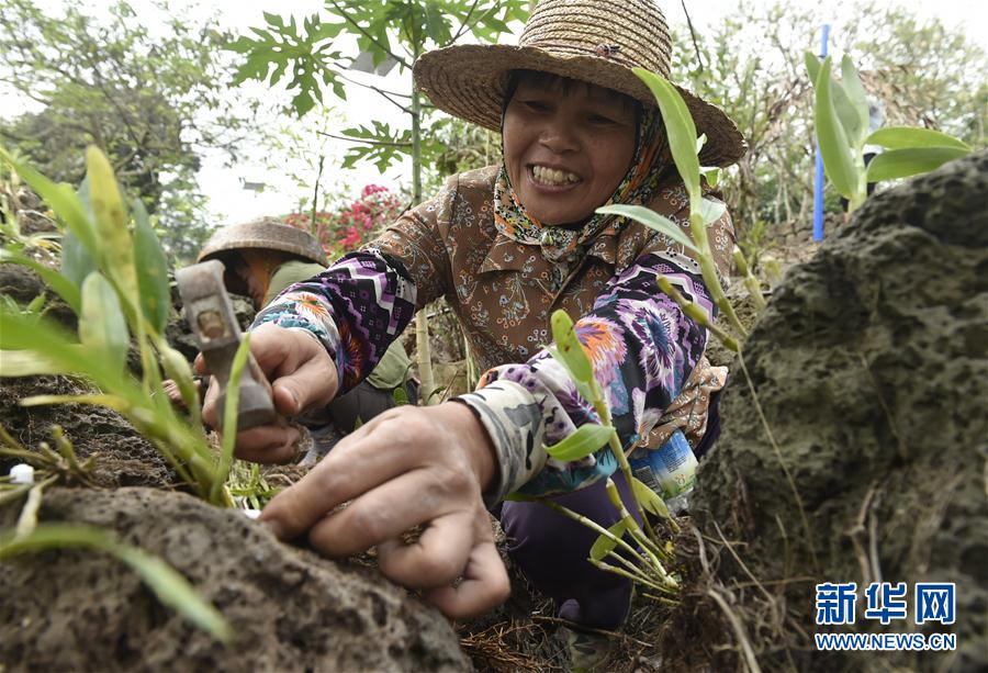 4ʩ裺ɫa(chn)I(y)