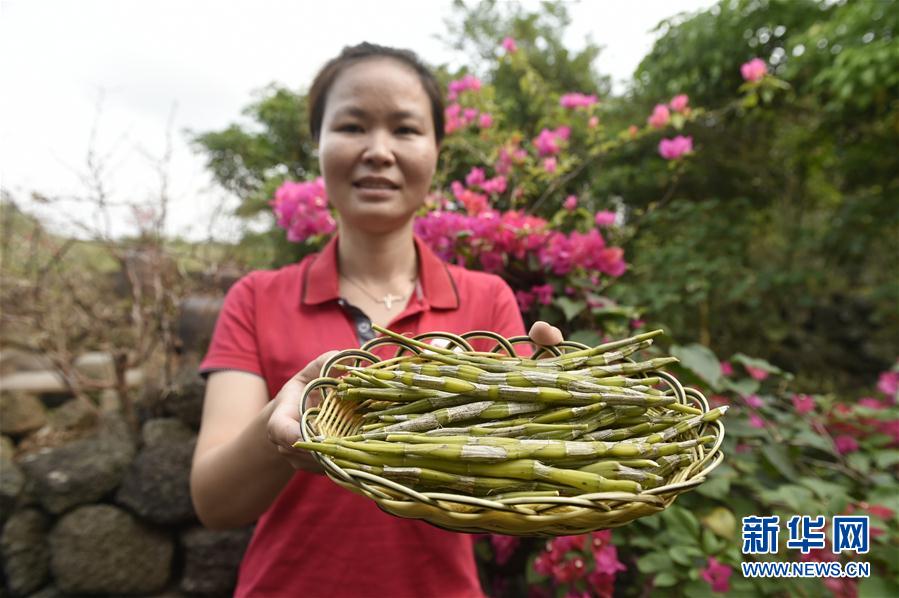 11ʩ裺ɫa(chn)I(y)