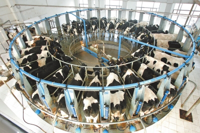 河南“兩牛”咋樣牛起來