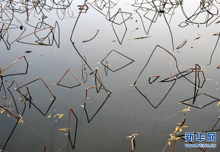 #(ҕ���X(ju��))(2)��������Ӱ �xĻ�෼�A