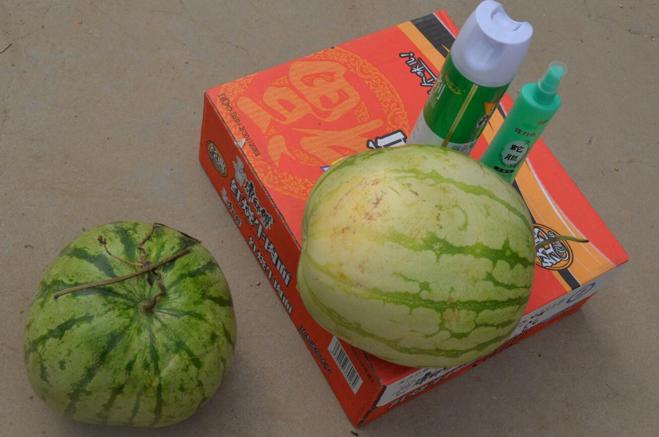 “懷抱初心 不忘鄉(xiāng)村” 炎黃文化&河大志愿者公益扶貧行動(dòng)