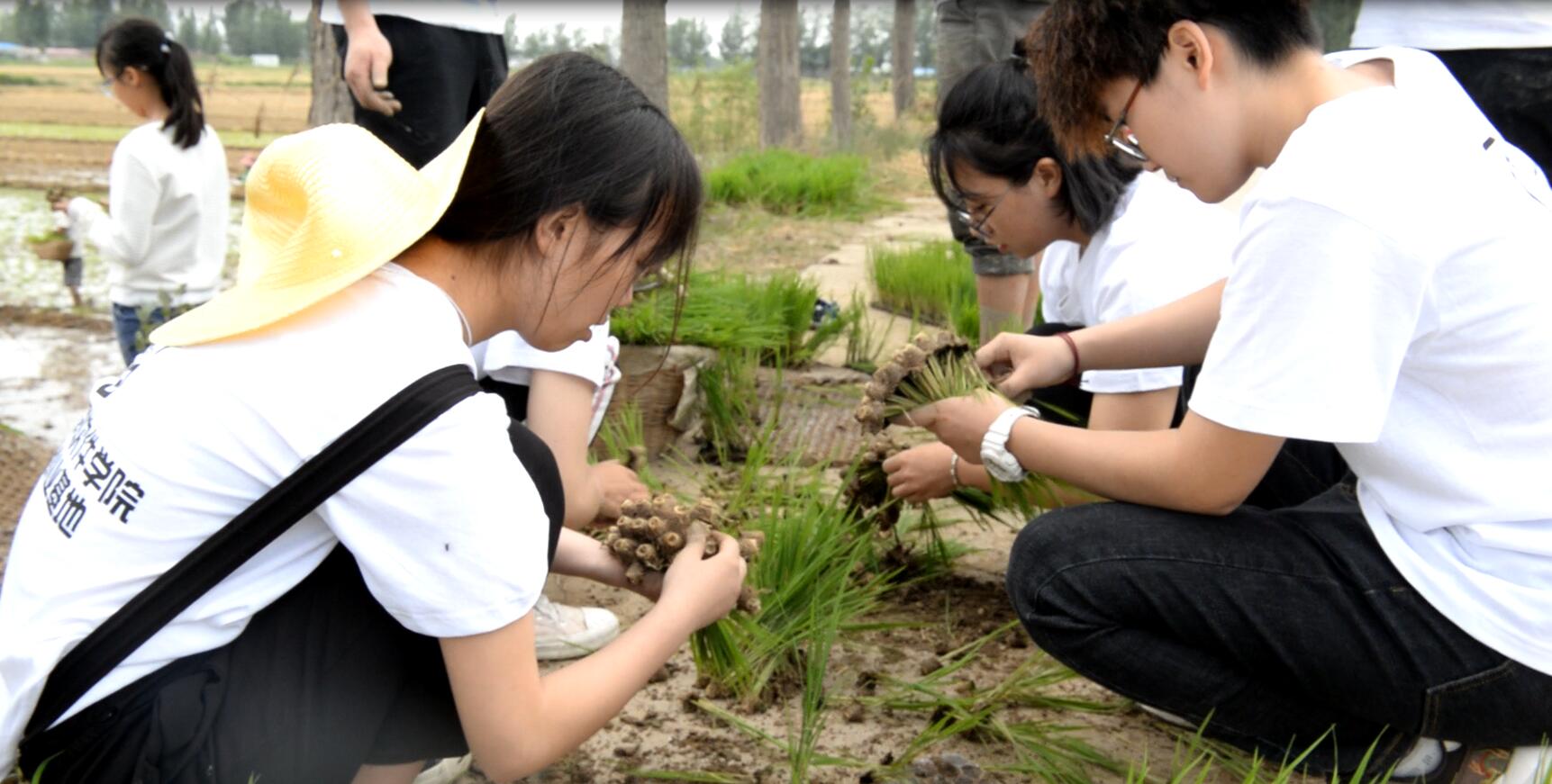“懷抱初心 不忘鄉(xiāng)村” 炎黃文化&河大志愿者公益扶貧行動(dòng)