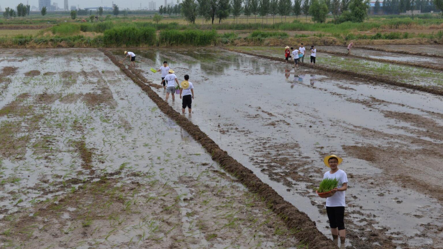 “懷抱初心 不忘鄉(xiāng)村” 炎黃文化&河大志愿者公益扶貧行動(dòng)