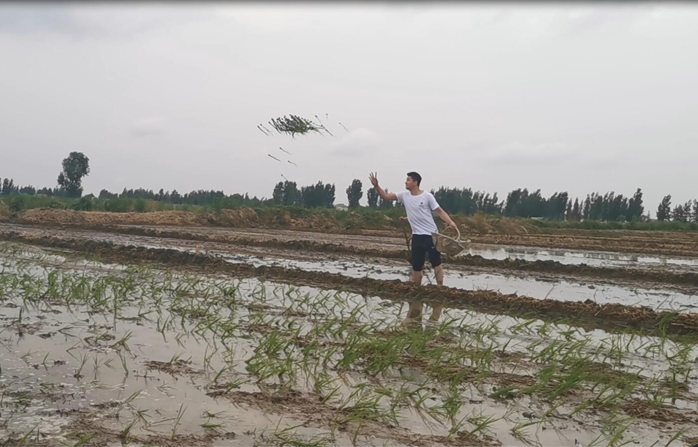 “懷抱初心 不忘鄉(xiāng)村” 炎黃文化&河大志愿者公益扶貧行動(dòng)
