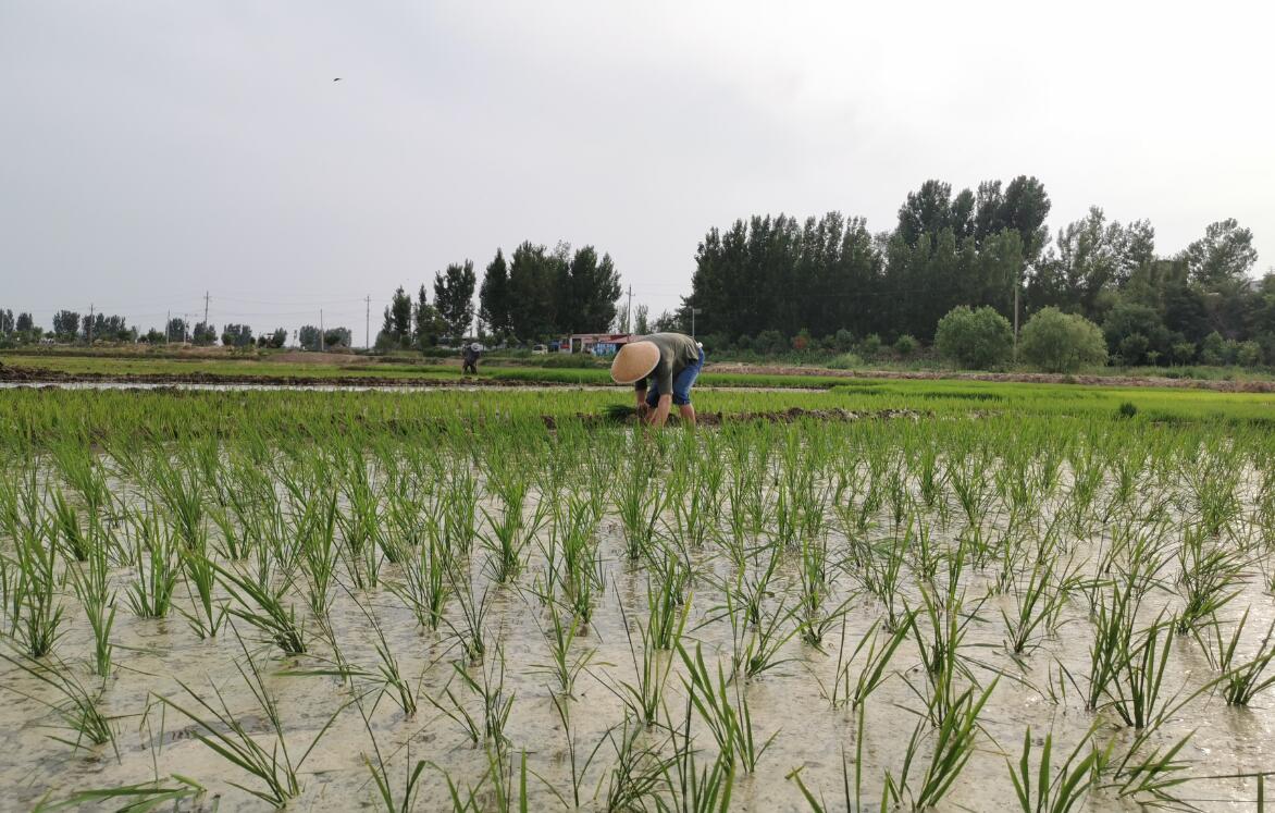 “懷抱初心 不忘鄉(xiāng)村” 炎黃文化&河大志愿者公益扶貧行動(dòng)