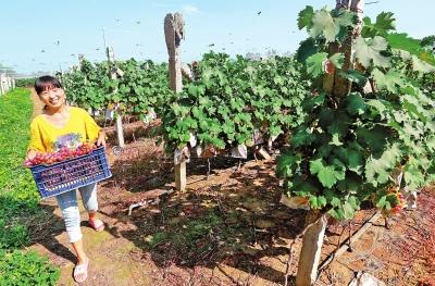 ���ϡ��w�㽛(j��ng)��(j��)���˄�Óؚ����