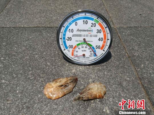 �������m(x��)�ߜء����^���������񱊡�����(zh��n)�߿���