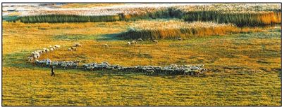 �ͷ������^ Ⱥ���б��^