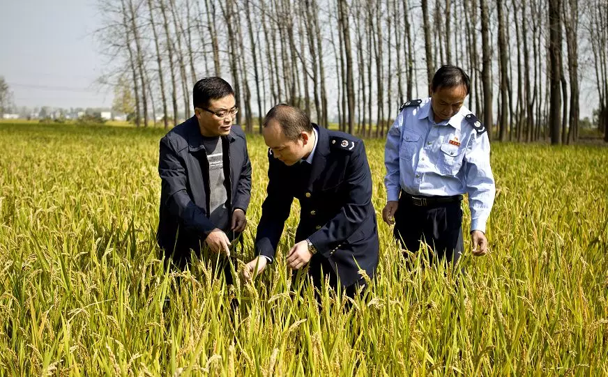 脫貧攻堅(jiān)戰(zhàn)中綻放的稅務(wù)力量