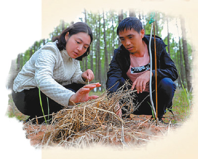 歲末年初探脫貧(人民眼打贏脫貧攻堅(jiān)戰(zhàn))