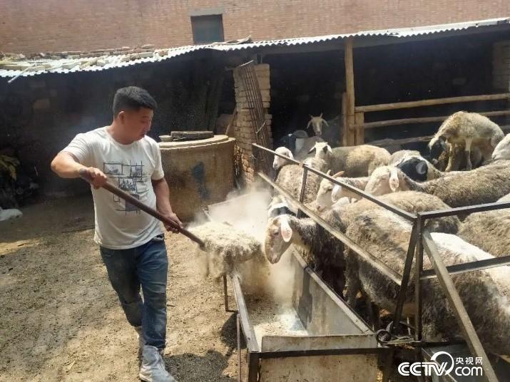 κhʷؚCưѷһҏķؚ˻؁¸Сĵ·z/x