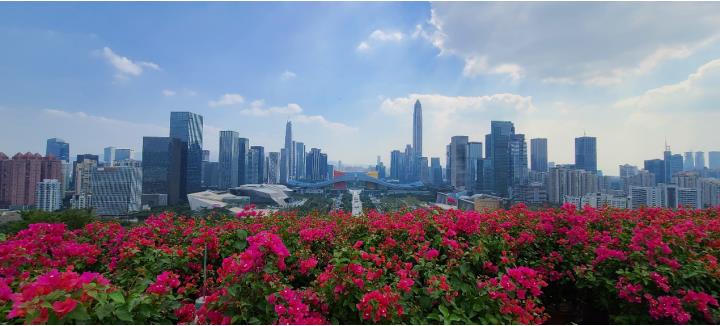 時政現(xiàn)場說丨牢記總書記囑托 續(xù)寫春天的故事