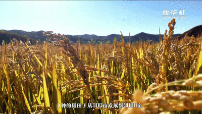 ��ʮ���塱������