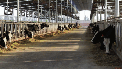 ��ʮ���塱������