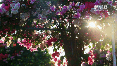 ��ʮ���塱������