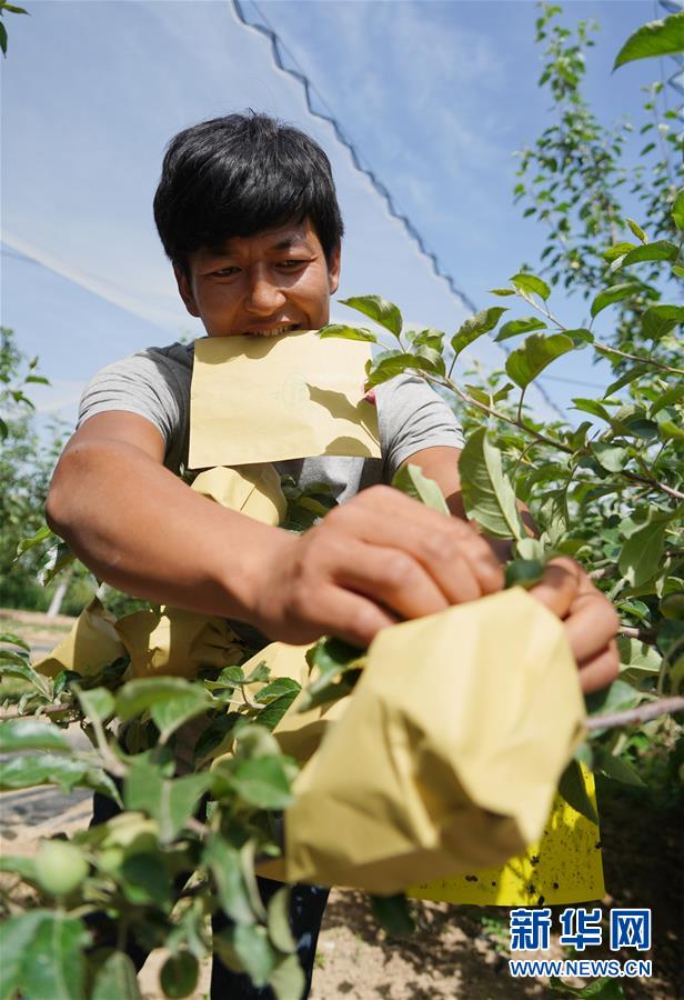 ����(x��)��ƽ��С�����¡��D�Ļ��ӣ���2�����Һ����ε�һ���£�����׌�l(xi��ng)�H���һ�D�⡱������(x��)��ƽ��Óؚ����(ji��n)�Ĺ���