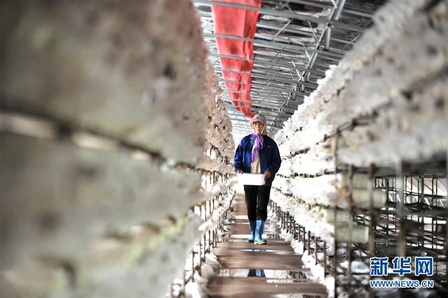 ����(x��)��ƽ��С�����¡��D�Ļ��ӣ���6�����Һ����ε�һ����������׌�l(xi��ng)�H���һ�D�⡱������(x��)��ƽ��Óؚ����(ji��n)�Ĺ���