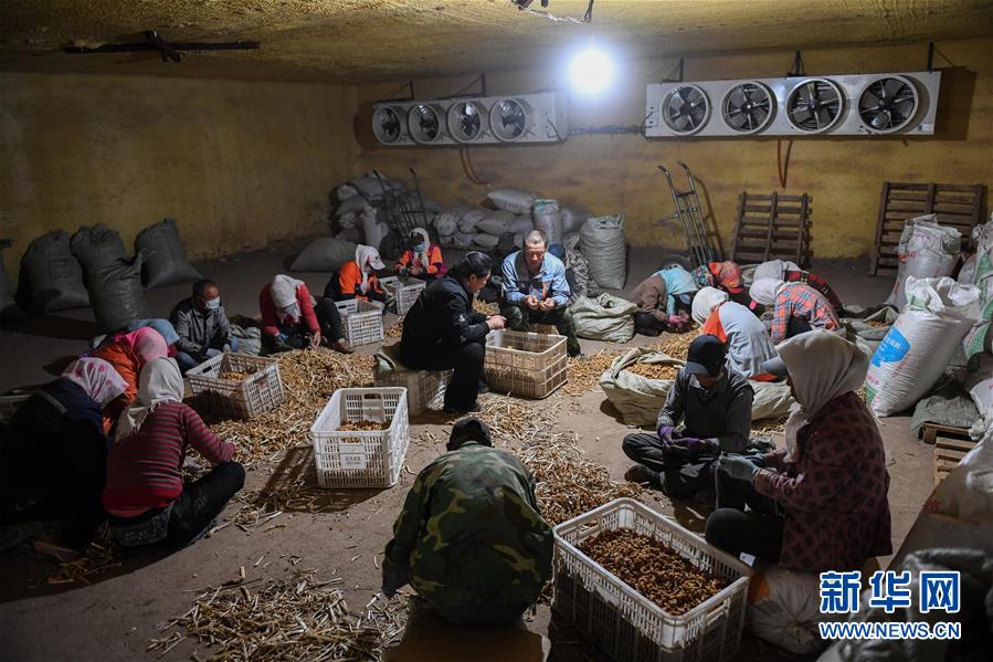 ����(x��)��ƽ��С�����¡��D�Ļ��ӣ���8�����Һ����ε�һ���£�����׌�l(xi��ng)�H���һ�D�⡱������(x��)��ƽ��Óؚ����(ji��n)�Ĺ���