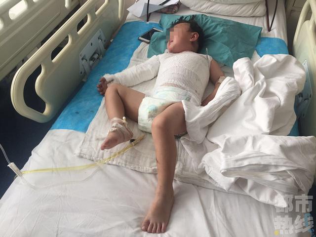 �������qŮͯ������������ ȫ���C������