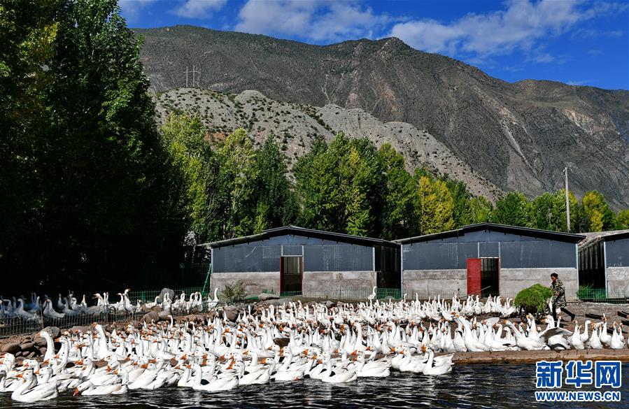 ��Óؚ���ԣ���1�����ز��������B(t��i)�Z�B(y��ng)ֳ����Óؚ