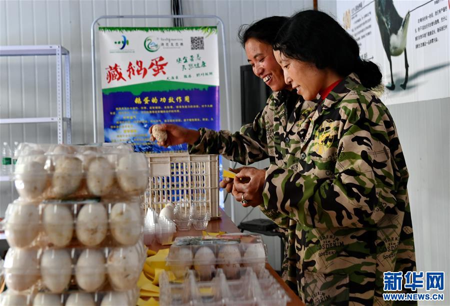 ��Óؚ���ԣ���3�����ز��������B(t��i)�Z�B(y��ng)ֳ����Óؚ